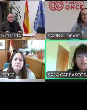 reunión CERMI