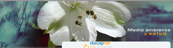 Cabecera de la Guía Medio Ambiente en Discapnet (una flor con la palabra Discapnet)