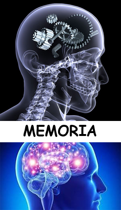 Imagenes representativas del funcionamiento de la Memoria