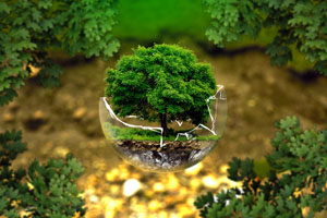 Banner representativo del Medio Ambiente, con árboles y plantas