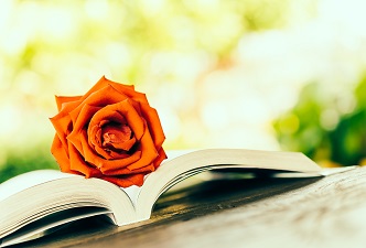 Un libro abierto y una rosa dentro. Alfabetización