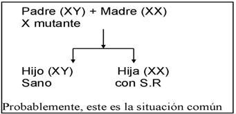 Gráfico sobre el Síndrome de Rett donde aparece el padre con cromosoma X mutado: hijo sano, hija afectada