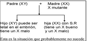 Gráfico sobre el Síndrome de Rett donde aparece la madre con cromosoma X mutado: hija afectada, hijo no viable
