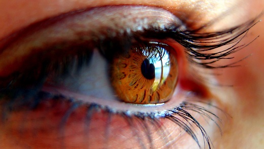 ojo de color marrón y pestañas largas analizado sobre glaucoma