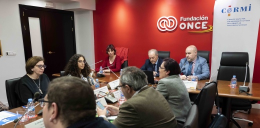 momento de la reunión sobre inclusión laboral y empleo público