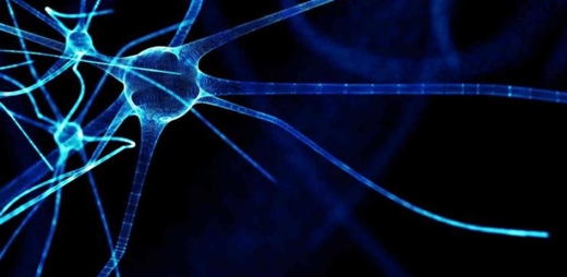 neurona - Día Mundial de la Esclerosis Múltiple
