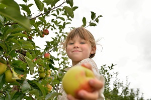niña cogiendo fruta de un árbol, buena para la nutrición