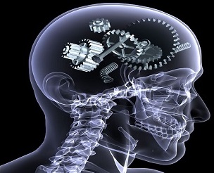Imagen de una radiografía de un cerebro de una persona y con tuercas para enseñar su funcionamiento. Neurologicas