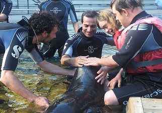 Momento en el que algunas personas con discapacidad disfrutan de los baños terapéuticos con leones marinos en Faunia