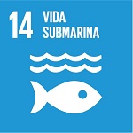 ods 14