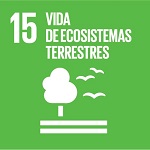 ods 15