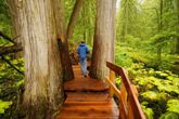 Una persona paseando por una pasarela de madera en un bosque