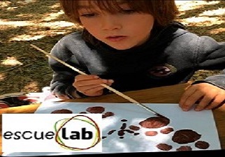  Un niño disfrutanto de unas de las actividades en el Lab Camp de verano de escueLab, también para niños con discapacidad