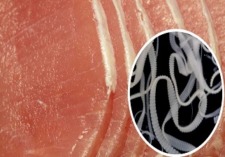 Carne de cerdo infectada con larvas de Cisticercosis
