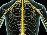 Chip para personas con paraplejia