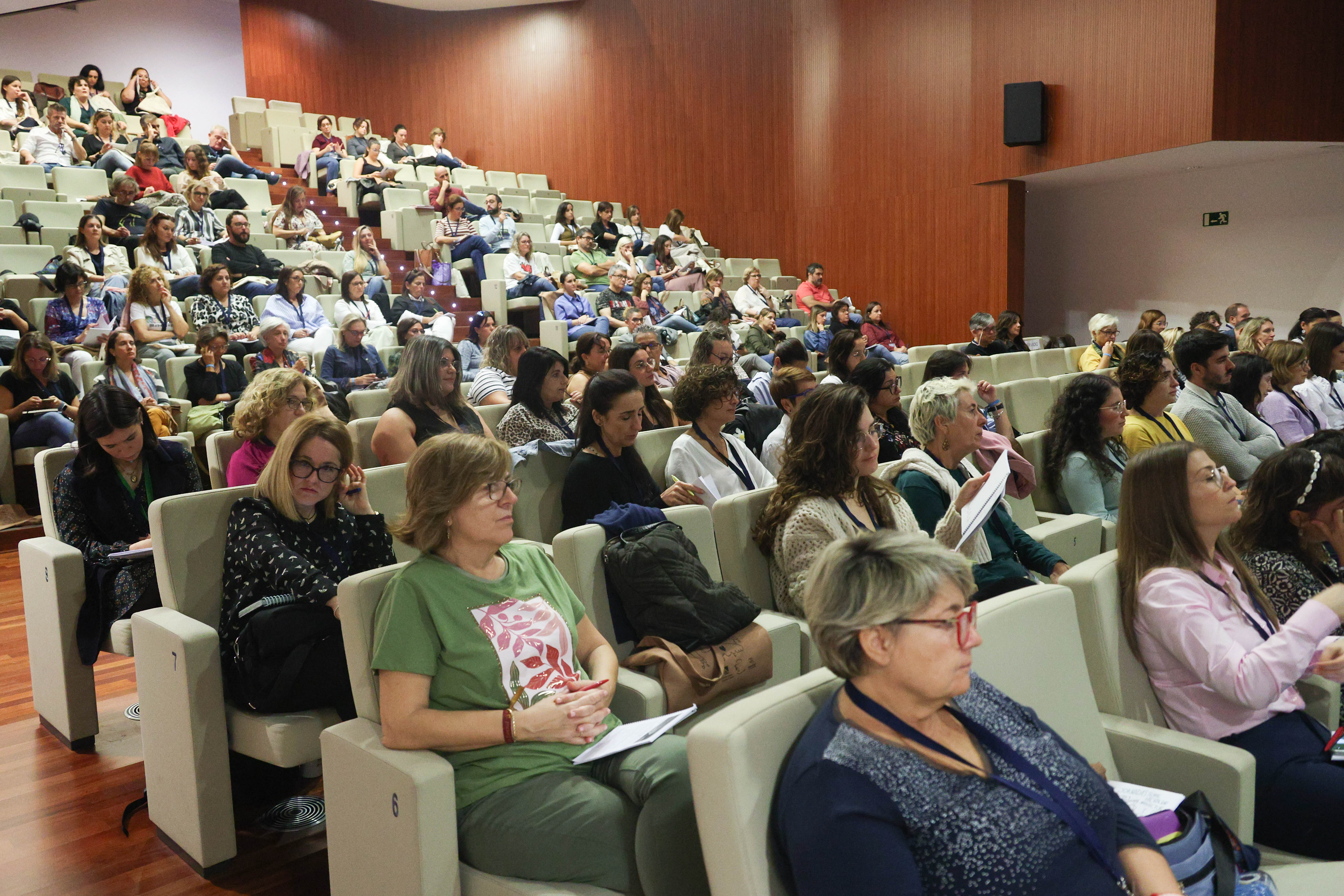 Público de las anteriores Jornadas sobre Discapacidad Intelectual y del Desarrollo