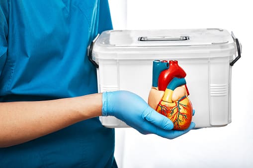 Dibujo de sanitario transportando órganos 