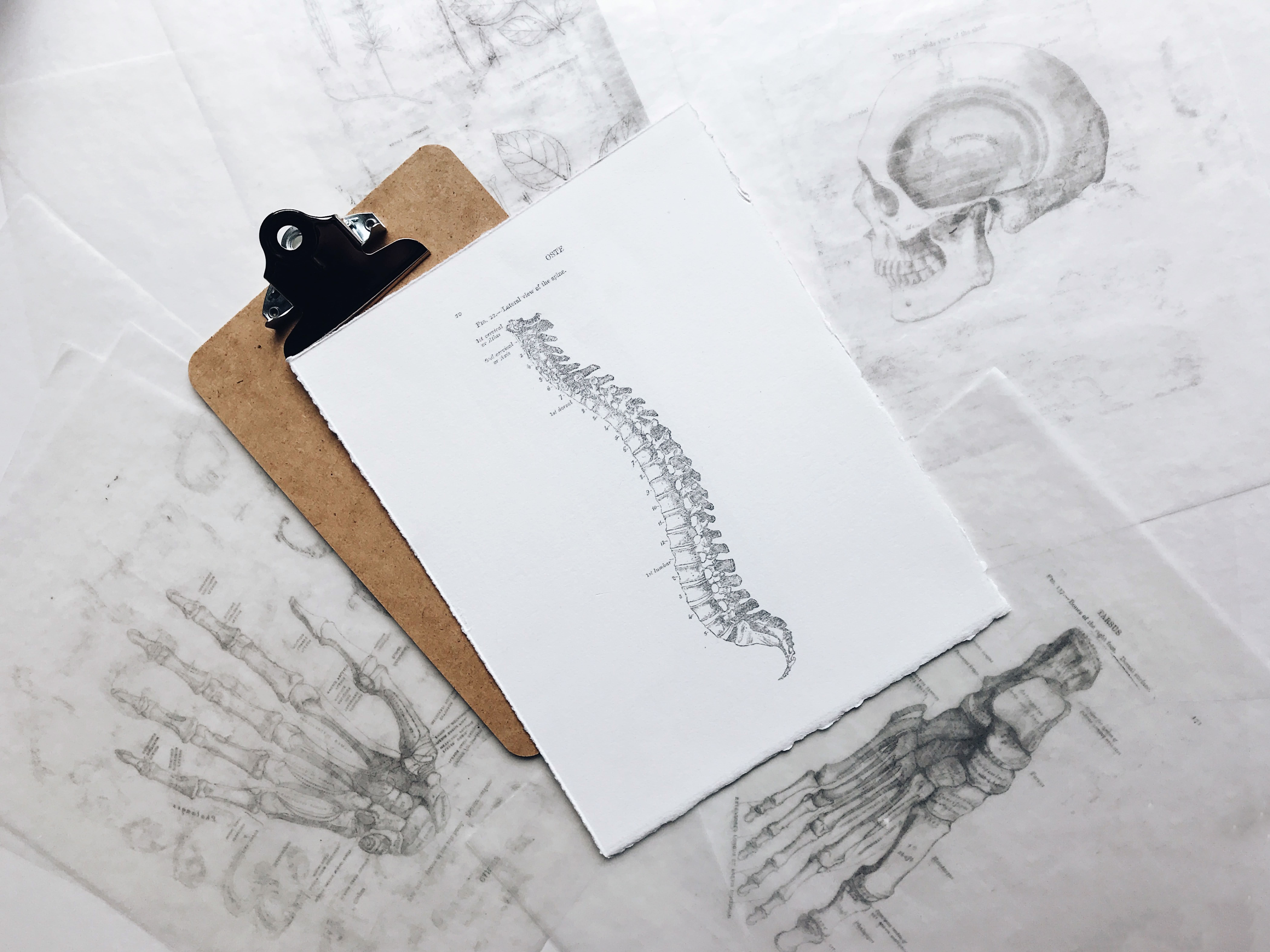 rehabilitación de columna