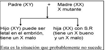 Gráfico con los genes de unos padres