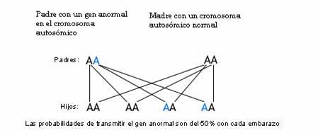 Grafico probabilidades de transmitir el gen de la Neurofibromatosis, son del 50% con cada embarazo