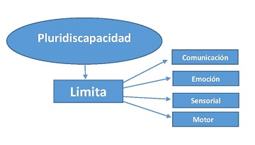 Limitaciones en Pluridiscapacidad: comunicación, emoción, sensorial y al motor del cuerpo humano