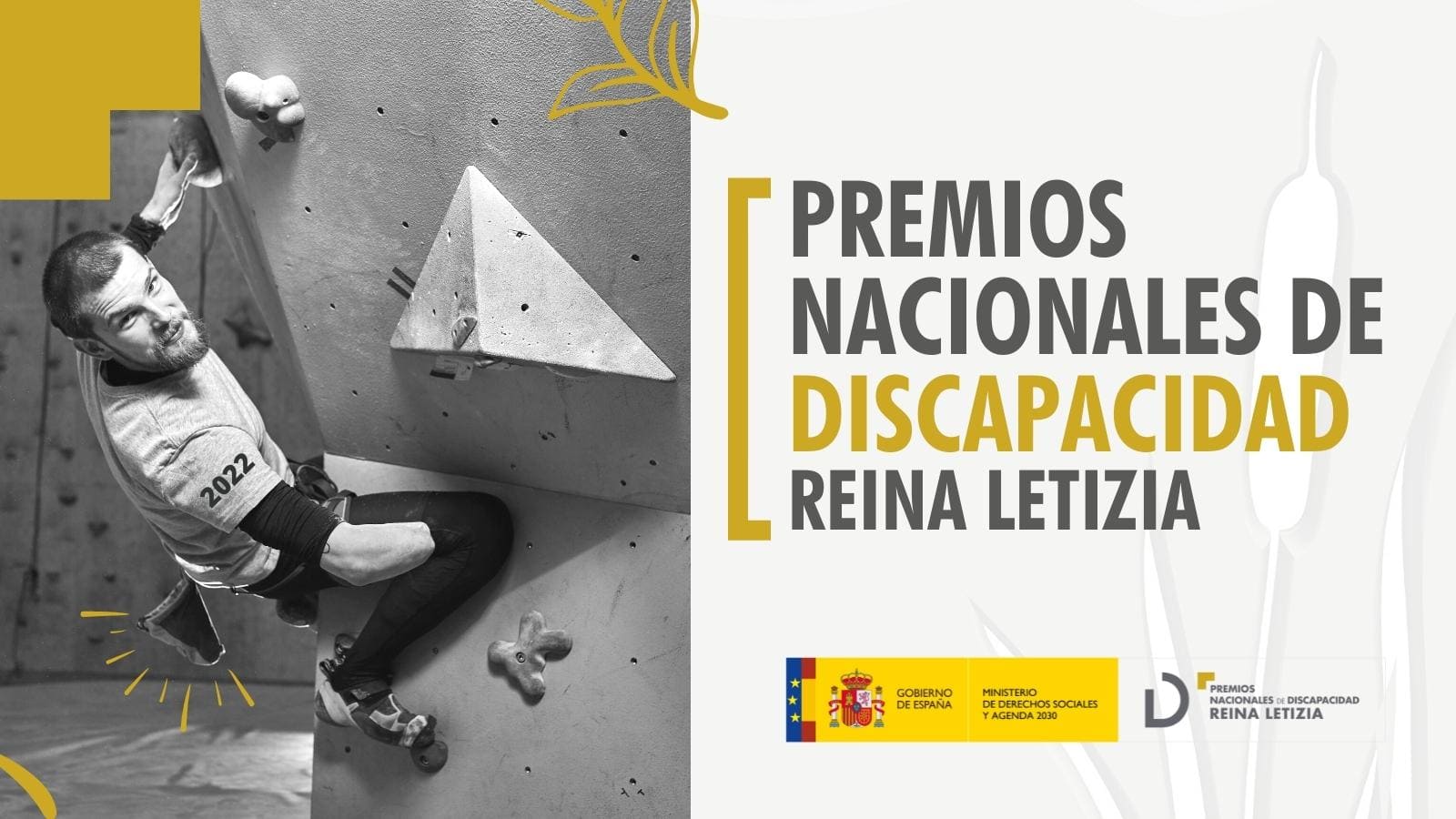 Cártel Premios Nacionales de Discapacidad Reina Letizia