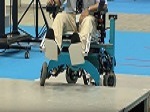 Silla de ruedas robótica Chiba