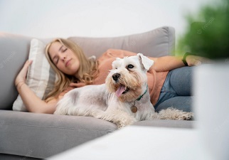 Mujer tumbada en el sofá con su perro, sumida en sueño