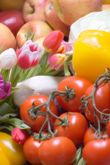 Verduras y vegetales para un equilibrio nutricional