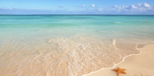 playa de arena fina y estrella de mar que puedes encontrar en el localizador de playas