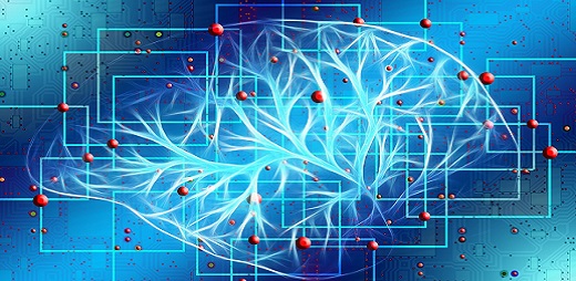 Ramificaciones del cerebro. Accidentes cerebrovasculares (fuente pixabay)