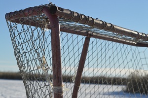 Portería del deporte Hockey en silla de ruedas (Fuente Pixabay)