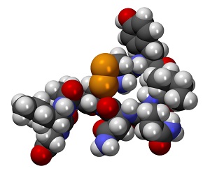 Moléculas Oxitocina
