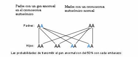 Las probabilidades de transmitir el gen anormal de la Neurofibromatosis son del 50% con cada embarazo