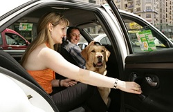 Una joven entra en un taxi con su perro guía