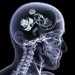 síntomas de lesión cerebral traumática en estudiantes con diabetes