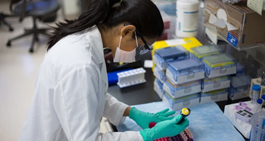 investigadora en laboratorio preparando recursos de salud