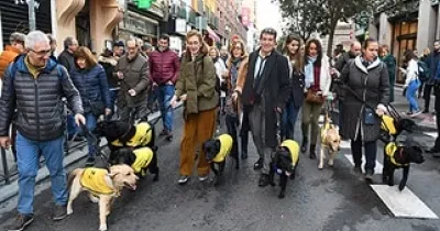 Personas paseando a perros guía por las Fiestas de San Antón de Madrid