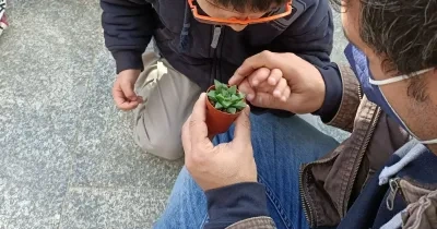 Actividad en ‘Empower Parents’ | Foto del Real Jardín Botánico