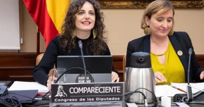 La directora ejecutiva de la Plataforma del Tercer Sector, en su comparecencia