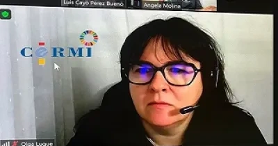Un momento del seminario ‘Litigación estratégica y personas sordas’, donde Luis Cayo Pérez Bueno se ha reunido por videoconferencia con representantes de diferentes organizaciones sociales (Fuente: CERMI)