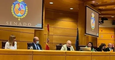 Luis Cayo Pérez Bueno, durante su comparecencia en el Senado