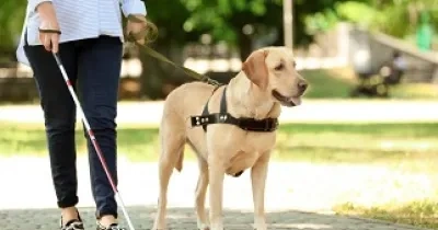 Una persona con discapacidad visual paseando con su perro por el parque (Fuente: Servimedia)