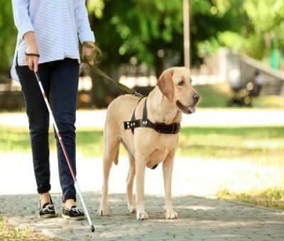 Una persona con discapacidad visual paseando con su perro por el parque (Fuente: Servimedia)