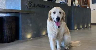 Perro en recepción de hotel de ILUNION (Fuente: ILUNION)