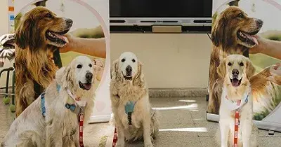 Un momento de la presentación de la primera sesión del Programa 'Momentos by KIWOKO’ en el Colegio Los Álamos de Vallecas de Madrid (Fuente: KIWOKO)