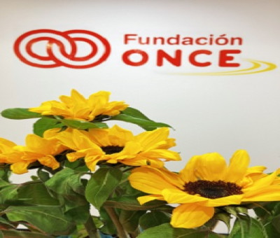 Banner de la campaña GIRASOLES SOLIDARIOS de Fundación ONCE