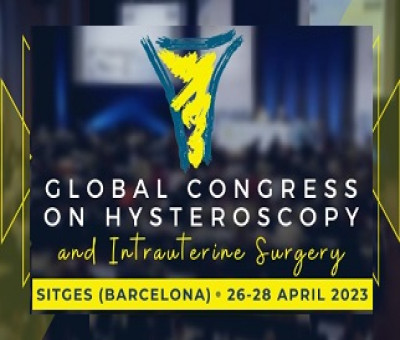 Banner del 4º Congreso Mundial de Histeroscopia, en Sitges (Barcelona)
