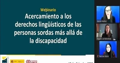 Un momento del webinario sobre los derechos lingüísticos de las personas sordas (Fuente: CNSE)