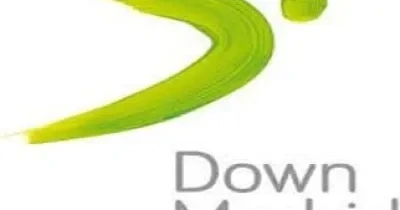 Logo Down Madrid